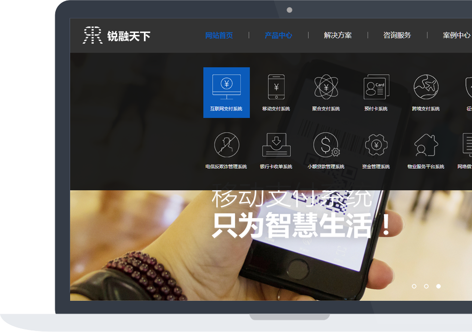 網(wǎng)站建設案例效果圖