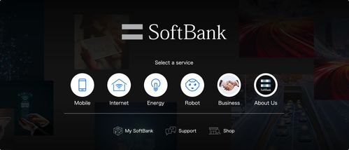 2021日本互聯(lián)網(wǎng)信息服務(wù)發(fā)展研究報(bào)告